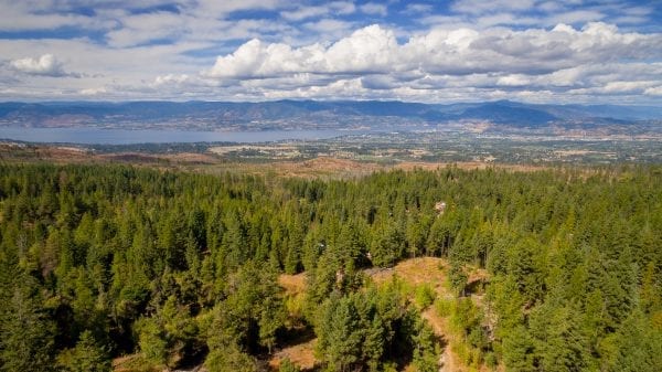 View from 4390 Ruth Road at myra canyon , listed by Domeij and Associates