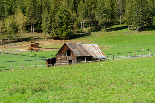 171 Brookfield Road North Okanagan Acreage Domeij and Associates