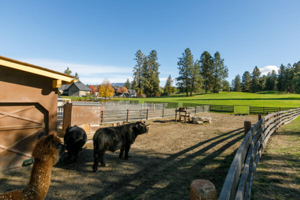 4172 McClain Road, Kelowna – Property photo 48